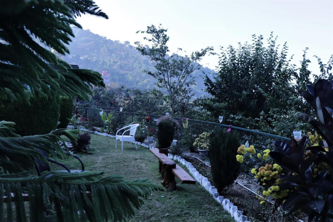Wildleaf Kasauli Valley Homz Bed & Breakfast ภายนอก รูปภาพ
