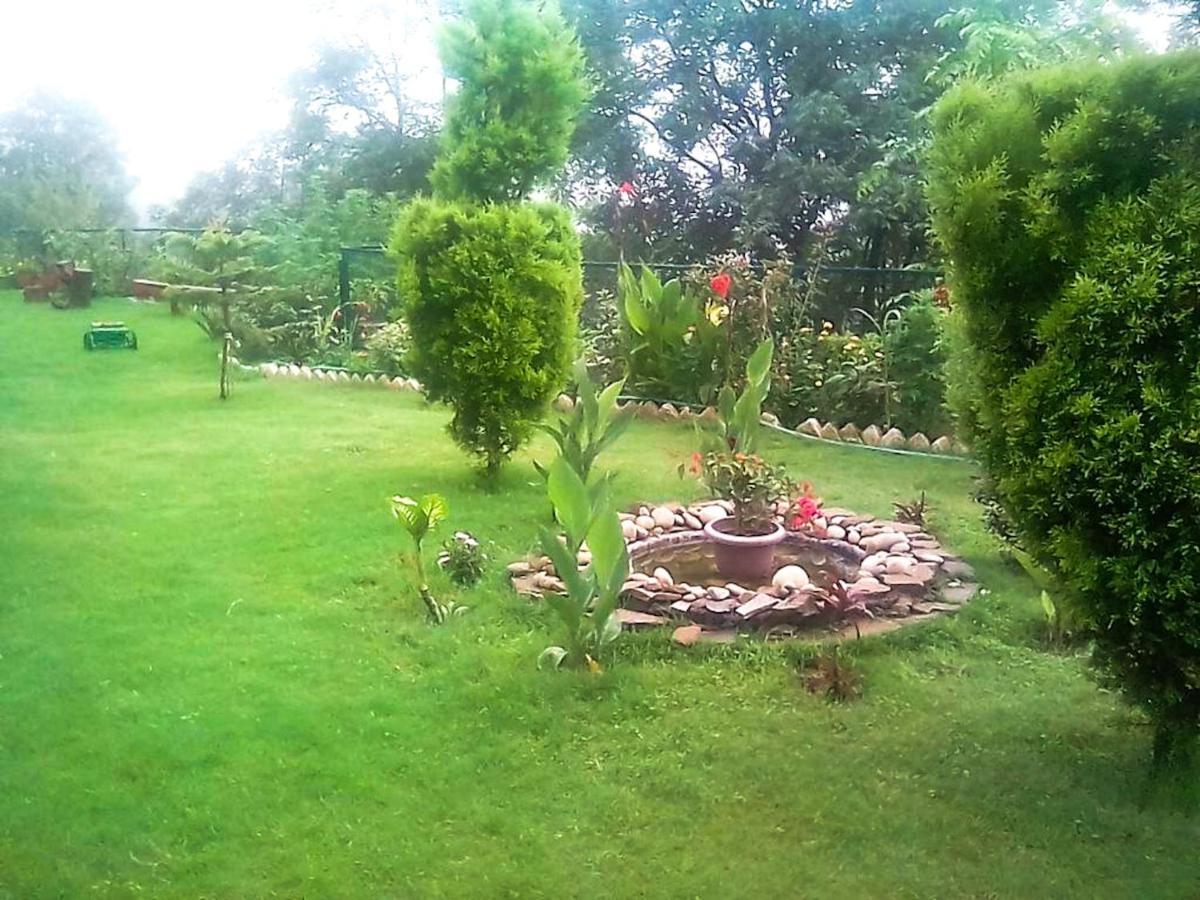 Wildleaf Kasauli Valley Homz Bed & Breakfast ภายนอก รูปภาพ